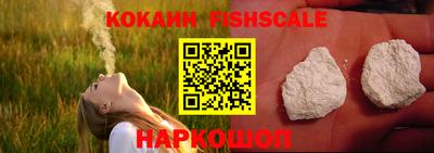 прущие крисы Камышлов