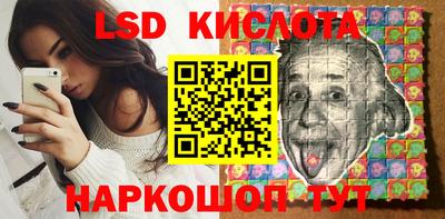 прущие крисы Камышлов