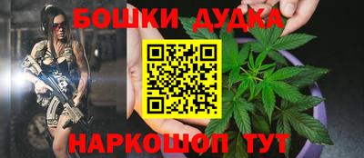прущие крисы Камышлов