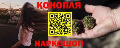 прущие крисы Камышлов
